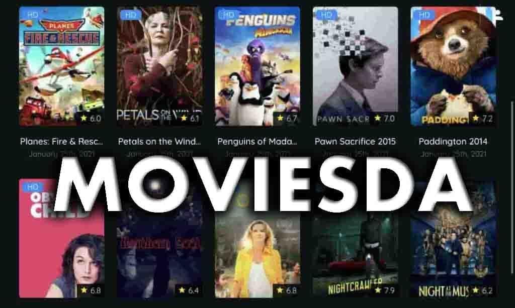 moviesraja net 2022 hd