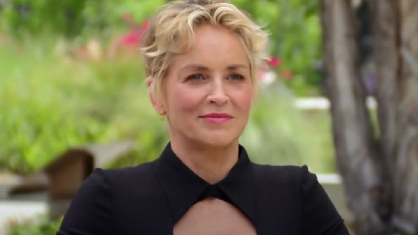 Sharon Stone Net Worth 2022 .