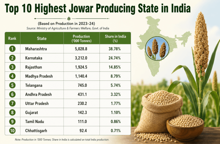 10 Highest Jowar Producing State in India