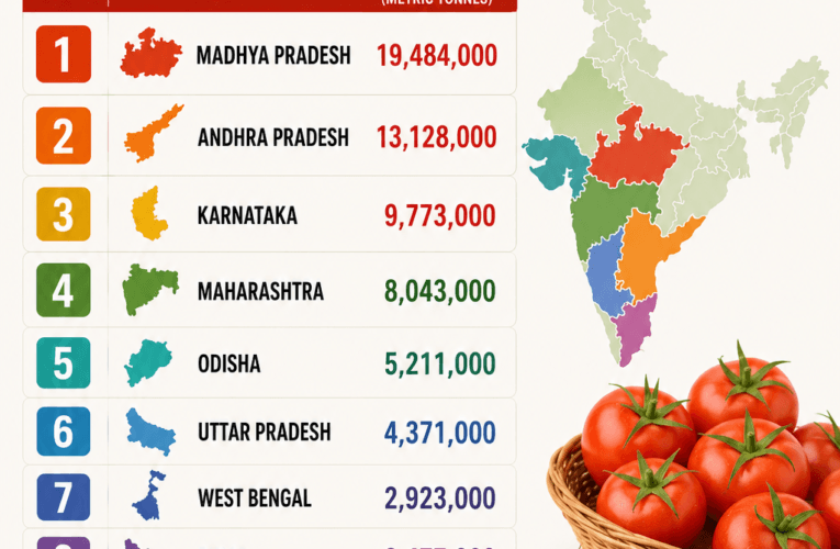 Top 10 Highest Tomato Producing State in India
