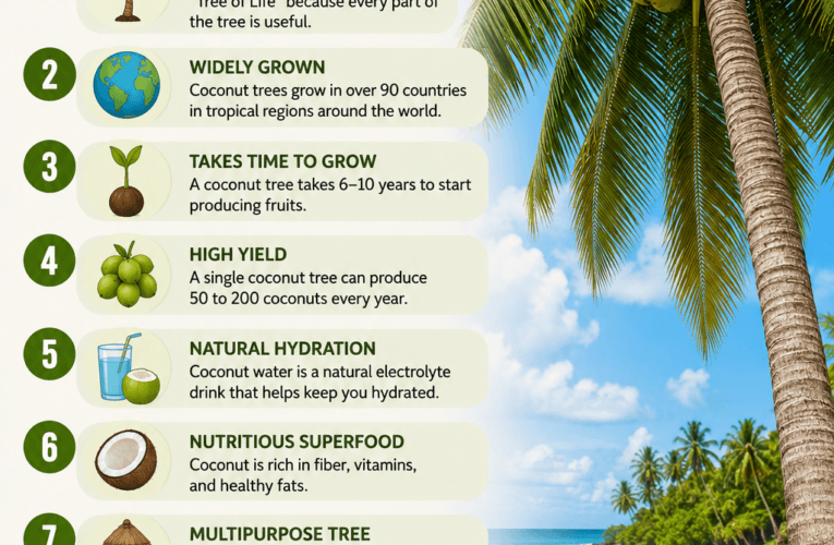 Top 10 Interesting Facts About Coconut Tree