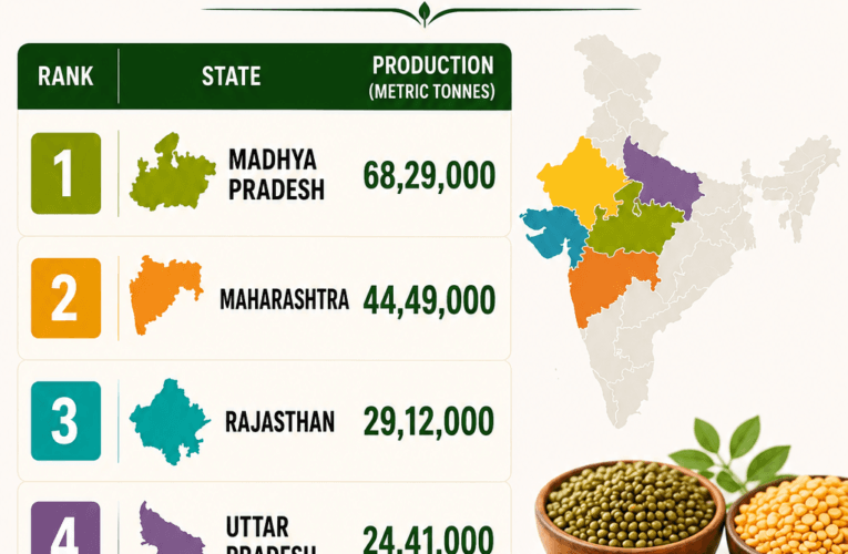 Top 5 Highest Pulses Producing State in India