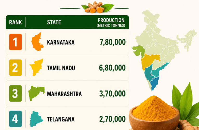 Top 5 Highest Turmeric Producing State in India