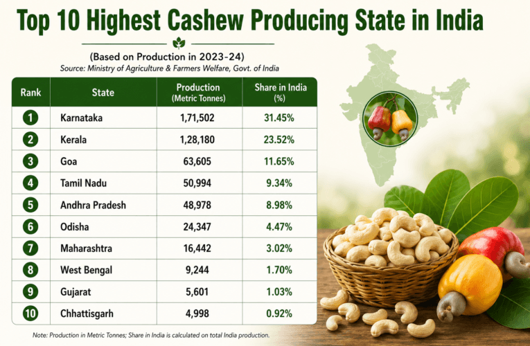 10 Highest Cashew Producing State in India